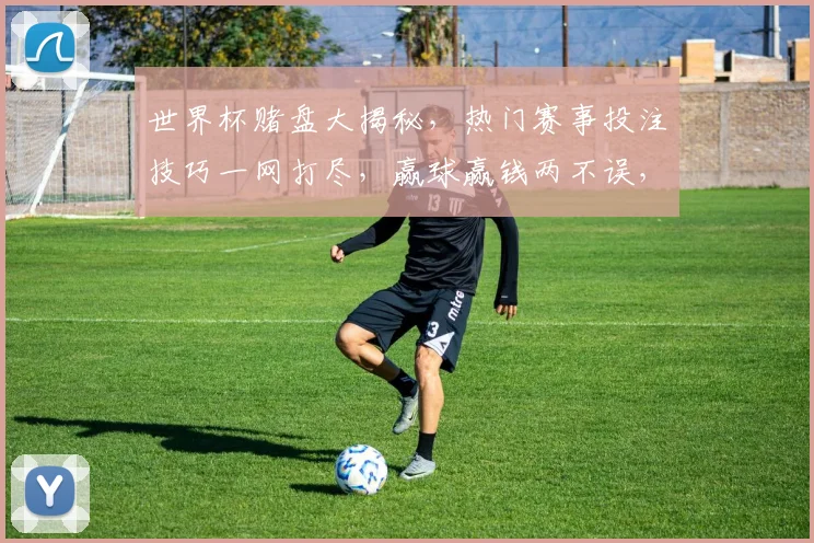 世界杯赌盘大揭秘，热门赛事投注技巧一网打尽，赢球赢钱两不误，必看