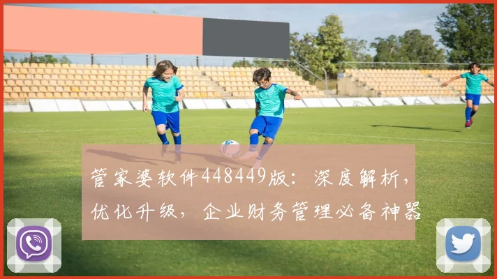 管家婆软件448449版：深度解析，优化升级，企业财务管理必备神器