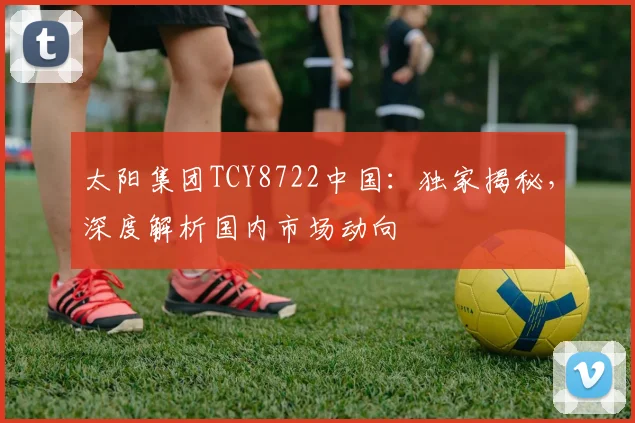 太阳集团TCY8722中国：独家揭秘，深度解析国内市场动向