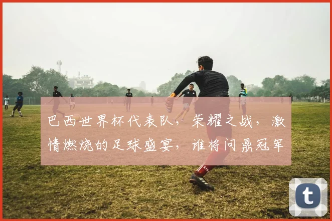 巴西世界杯代表队，荣耀之战，激情燃烧的足球盛宴，谁将问鼎冠军